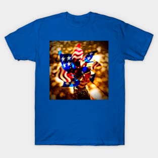 Patriotic pinwheel T-Shirt